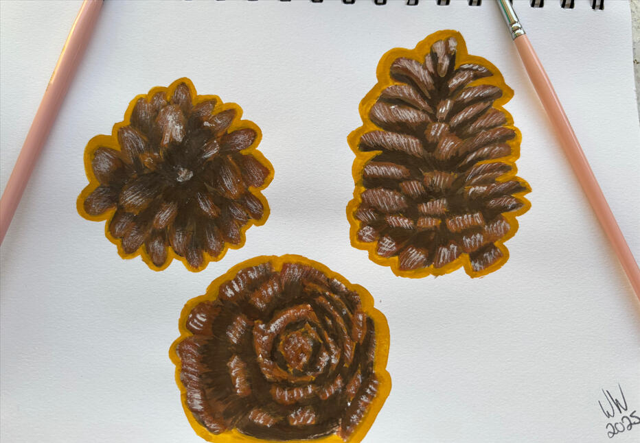 Pine Cone Study - Gouache