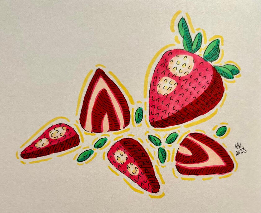 Strawberry Study - Marker